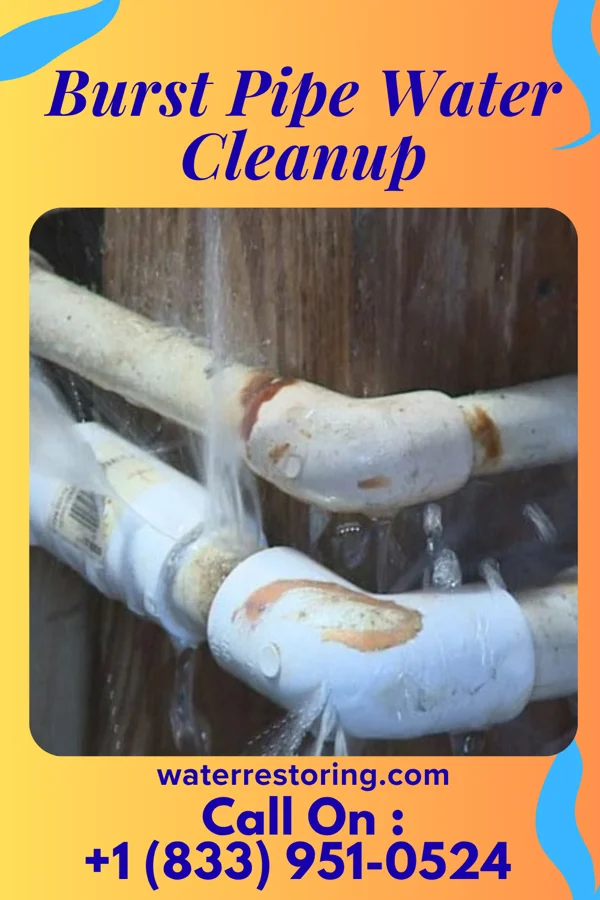 Burst Pipe Water Cleanup in Calumet City, IL