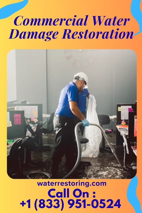 Commercial Water Damage Restoration in Calumet City, IL