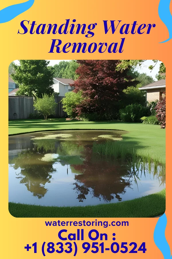 Standing Water Removal in Calumet City, IL